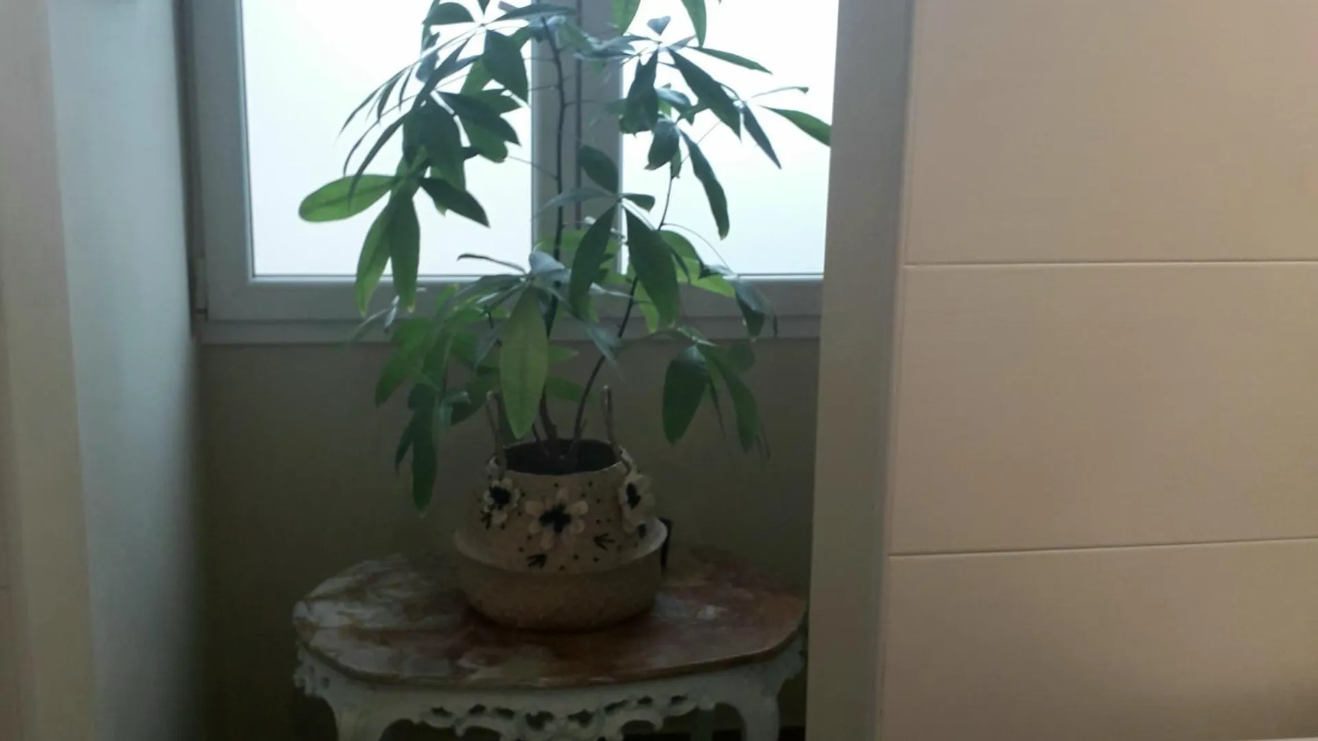 Bed & Breakfast B&B Mercedes Bologna