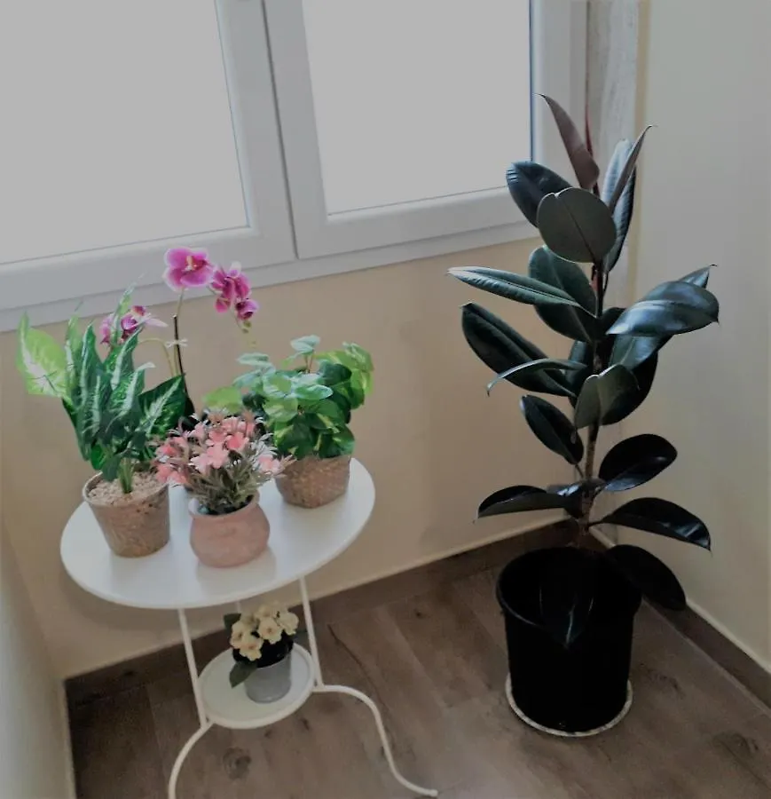 B&B Mercedes Bologna 2*,  Italy